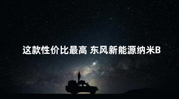 这款性价比最高 东风新能源纳米BOX购车手册